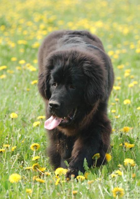 Фотография № 13625