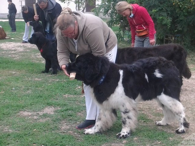 Фотография № 136283