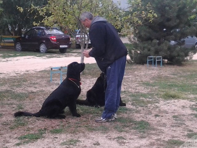 Фотография № 136285