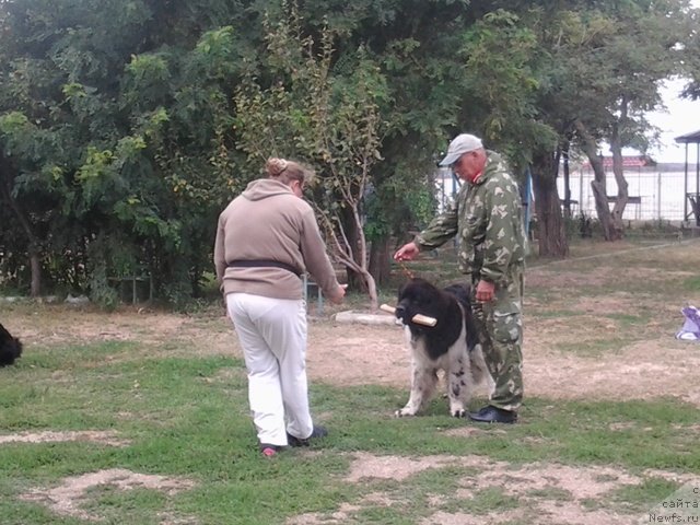 Фотография № 136289