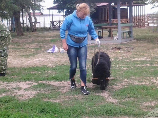 Фотография № 136290