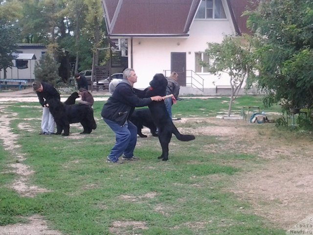 Фотография № 136291