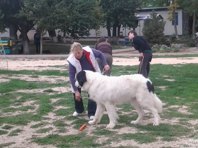 Фотография № 136292