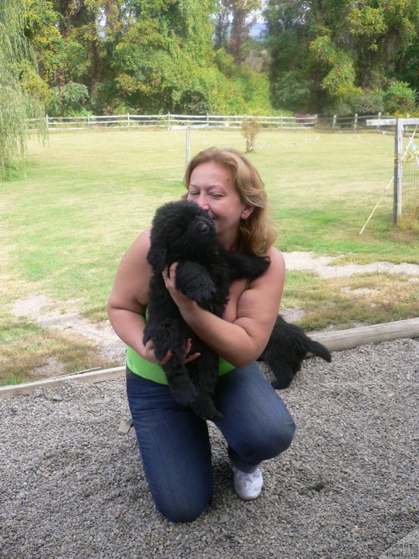 Фотография № 136334