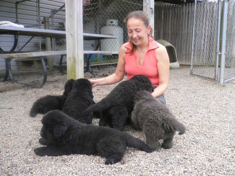 Фотография № 136336