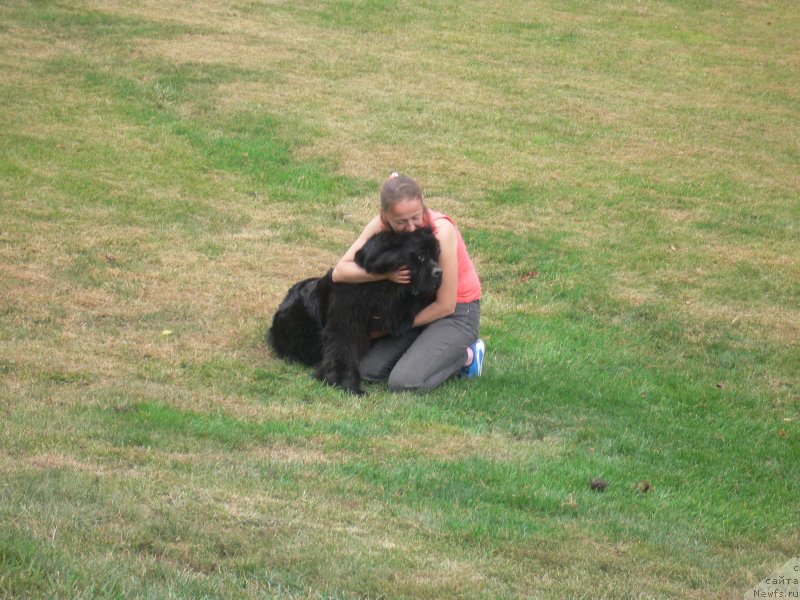 Фотография № 136341