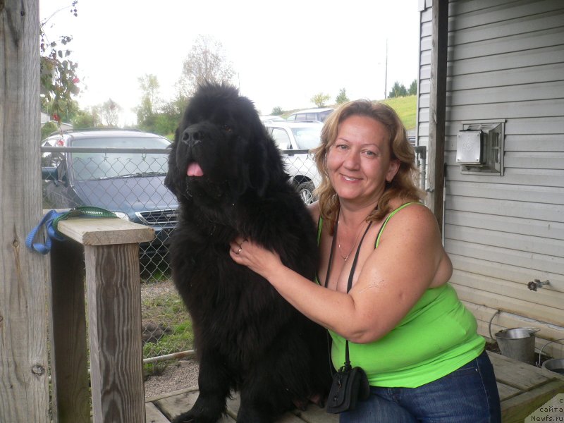 Фотография № 136349