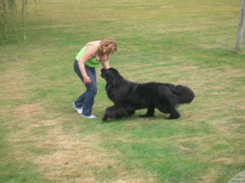 Фотография № 136350