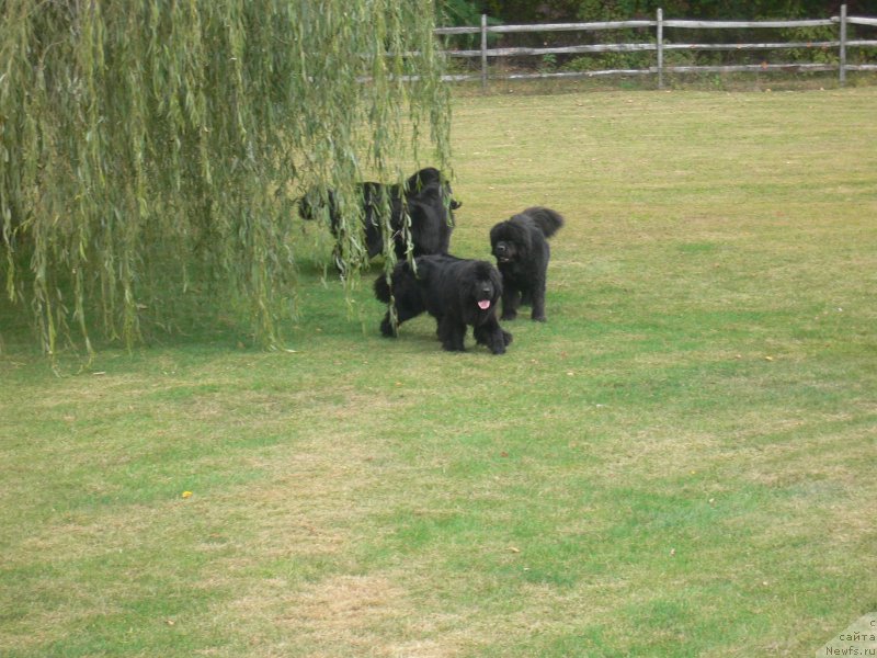 Фотография № 136351