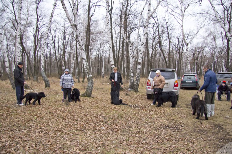 Фотография № 136368