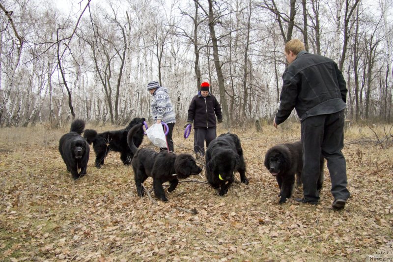 Фото: Александр Чернявский, Юлия Рузинская