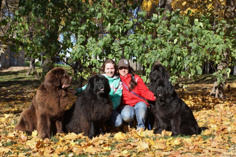 Фотография № 136401