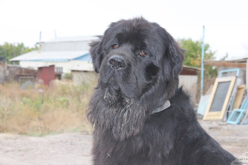 Фотография № 136406