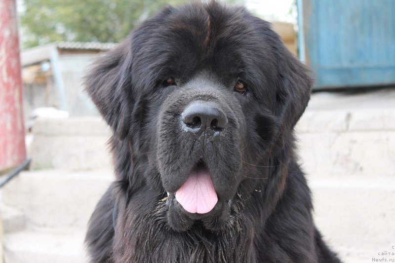 Фотография № 136407