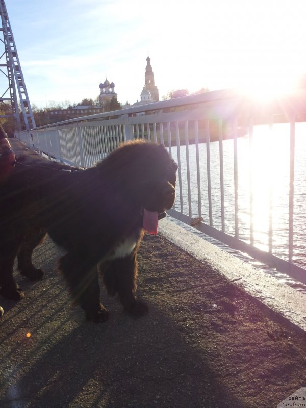 Фотография № 136425