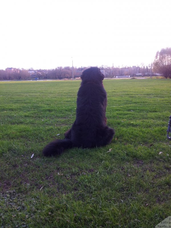 Фотография № 136427