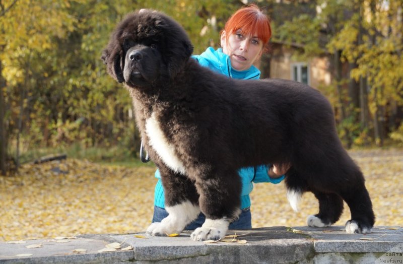 Фотография № 136448