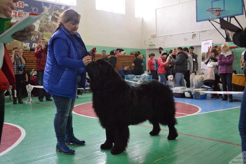 Фотография № 136482