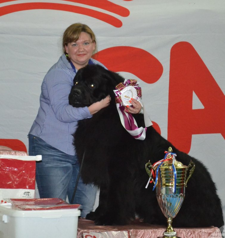 Фотография № 136486