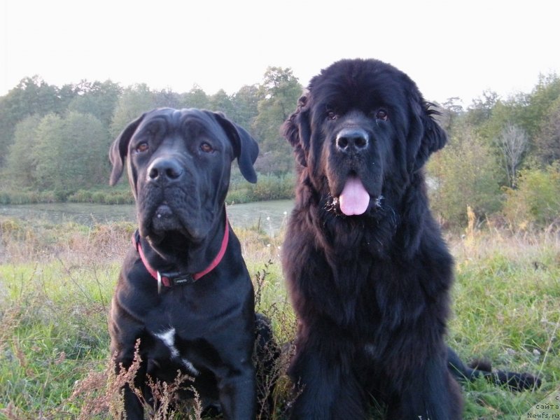 Фотография № 136495