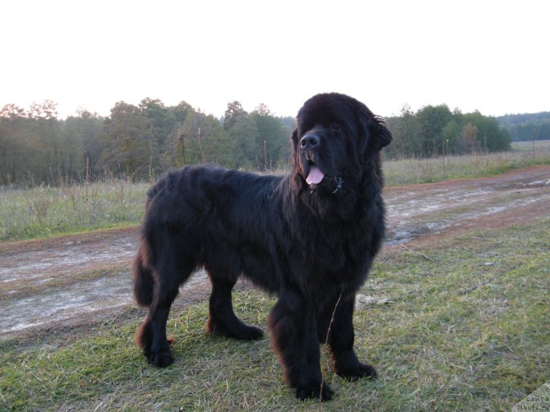 Фотография № 136496