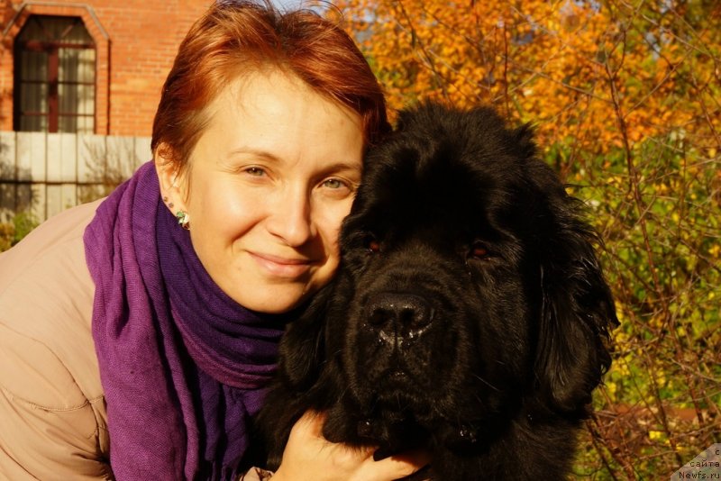 Фото: Марина Волкова, ньюфаундленд Центр Мироздания из Аркаима (Tsentr Mirozdaniya iz Arkaima)