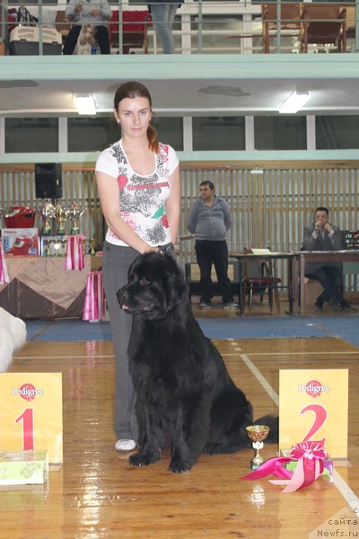 Фотография № 136541