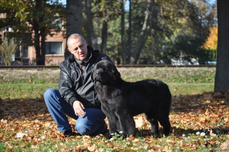 Фотография № 136551