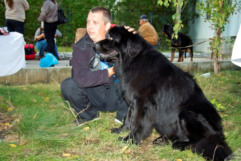 Фотография № 136606