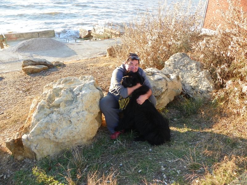 Фотография № 136620