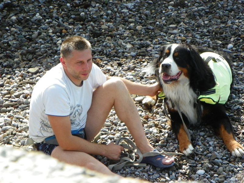 Фотография № 136623