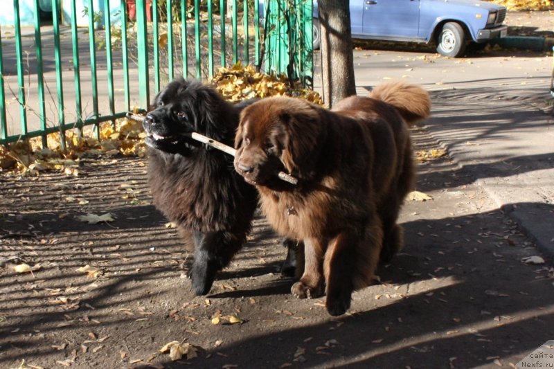 Фотография № 136634