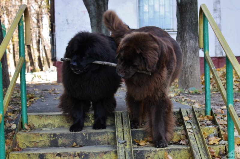 Фотография № 136637