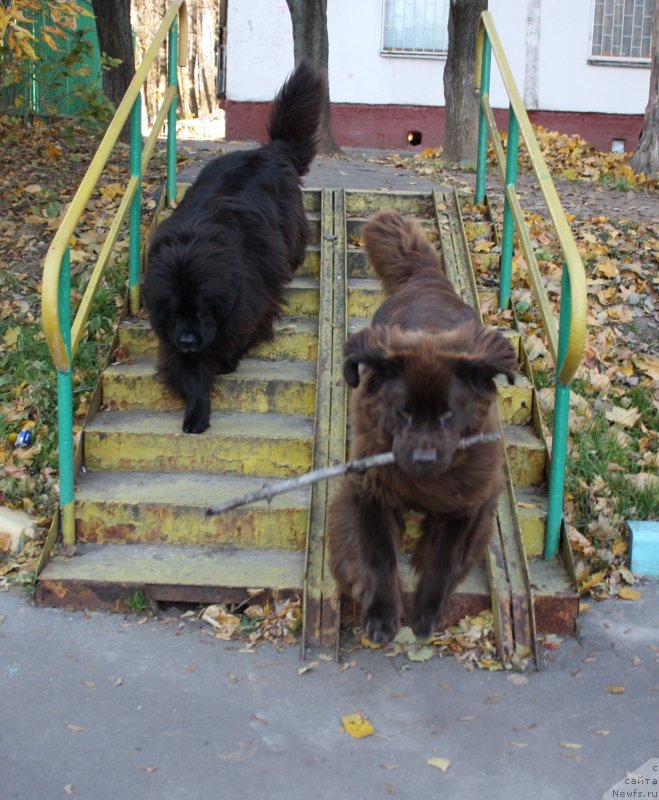 Фотография № 136638