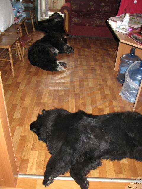 Фотография № 13664