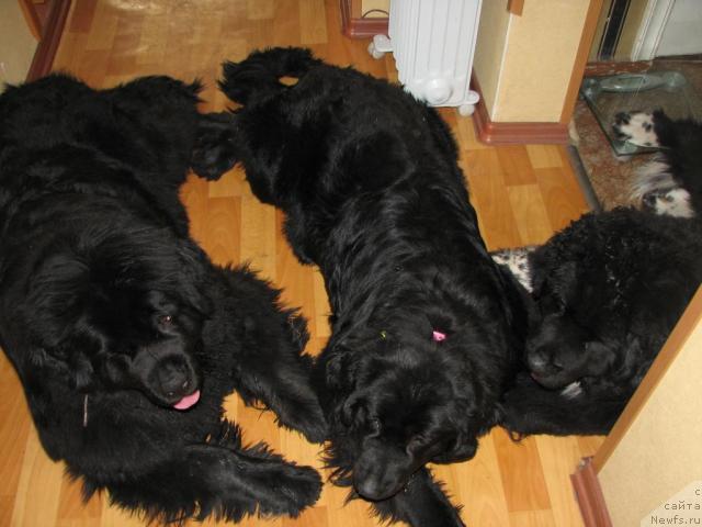 Фото: [d6766]
[d6767]
[d4284]