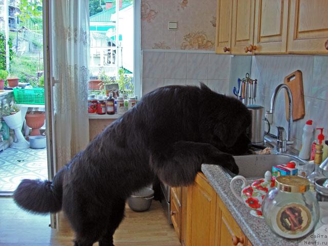 Фотография № 13666