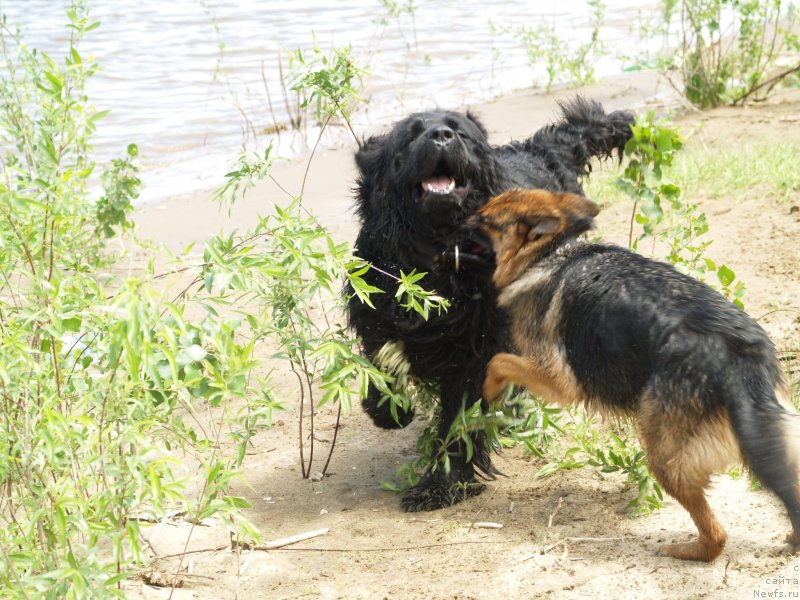 Фотография № 136676