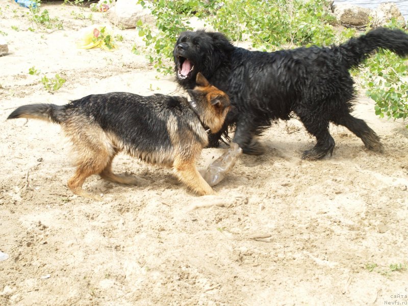 Фотография № 136677