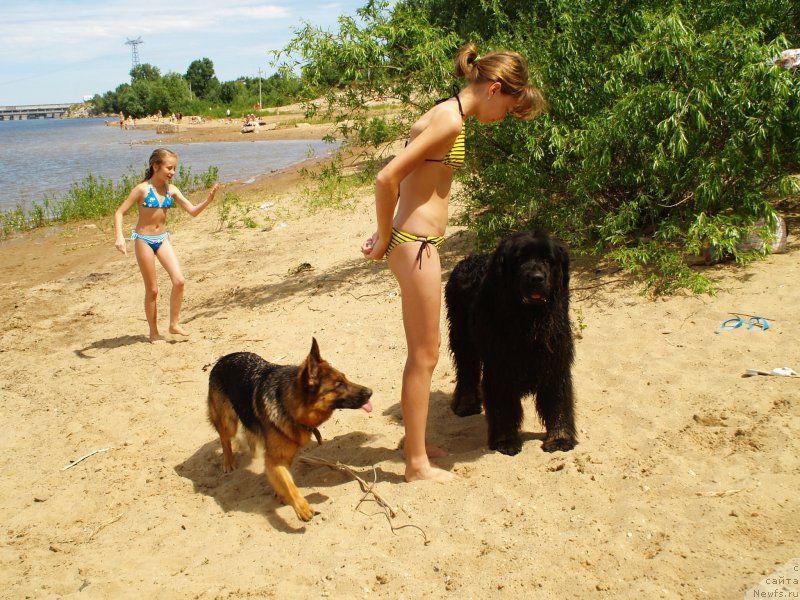 Фотография № 136680