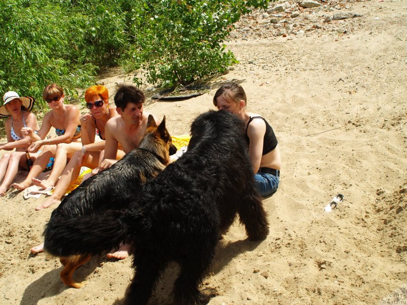 Фотография № 136681