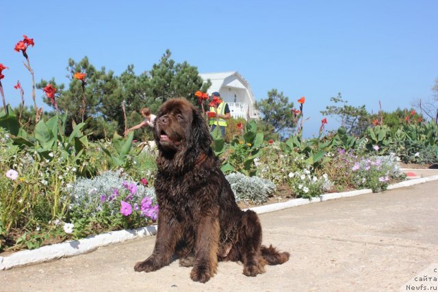 Фотография № 136719