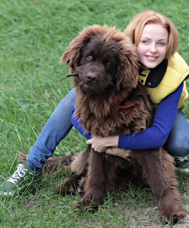 Фотография № 136737