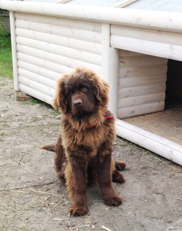 Фотография № 136738