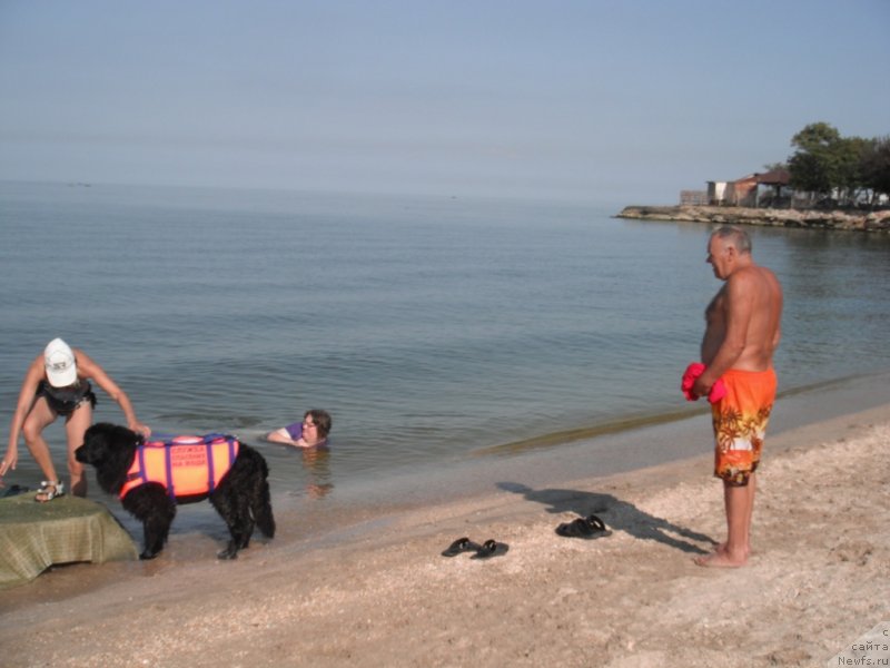 Фотография № 136778