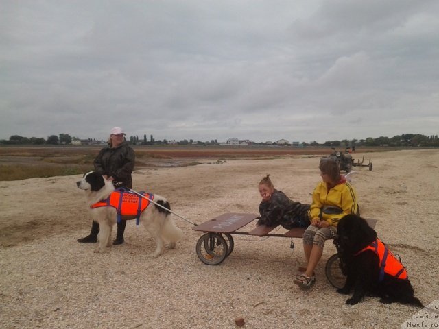 Фотография № 136783