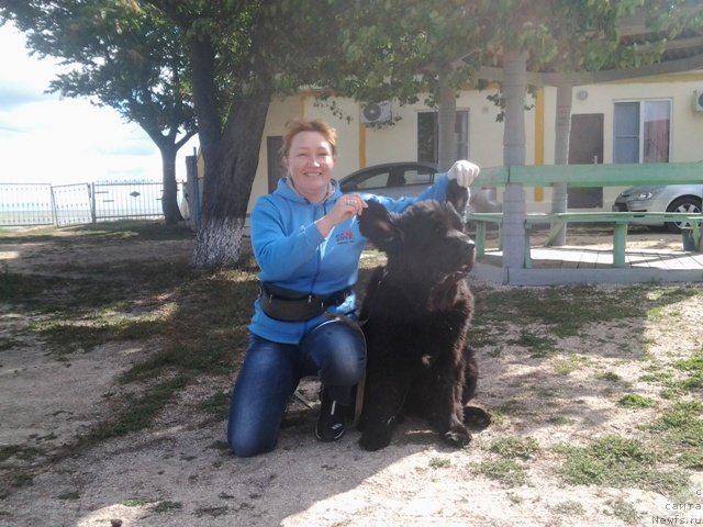 Фотография № 136784