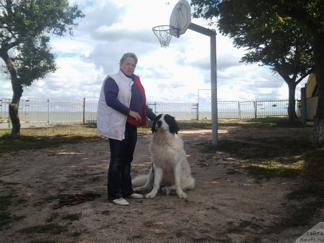 Фотография № 136785