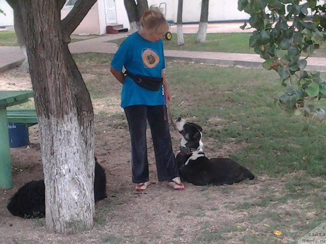 Фотография № 136787