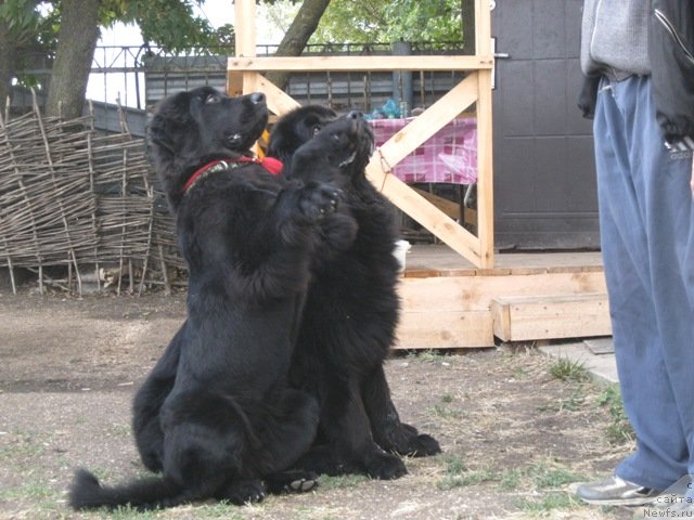 Фотография № 136788